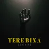 Tere Bina